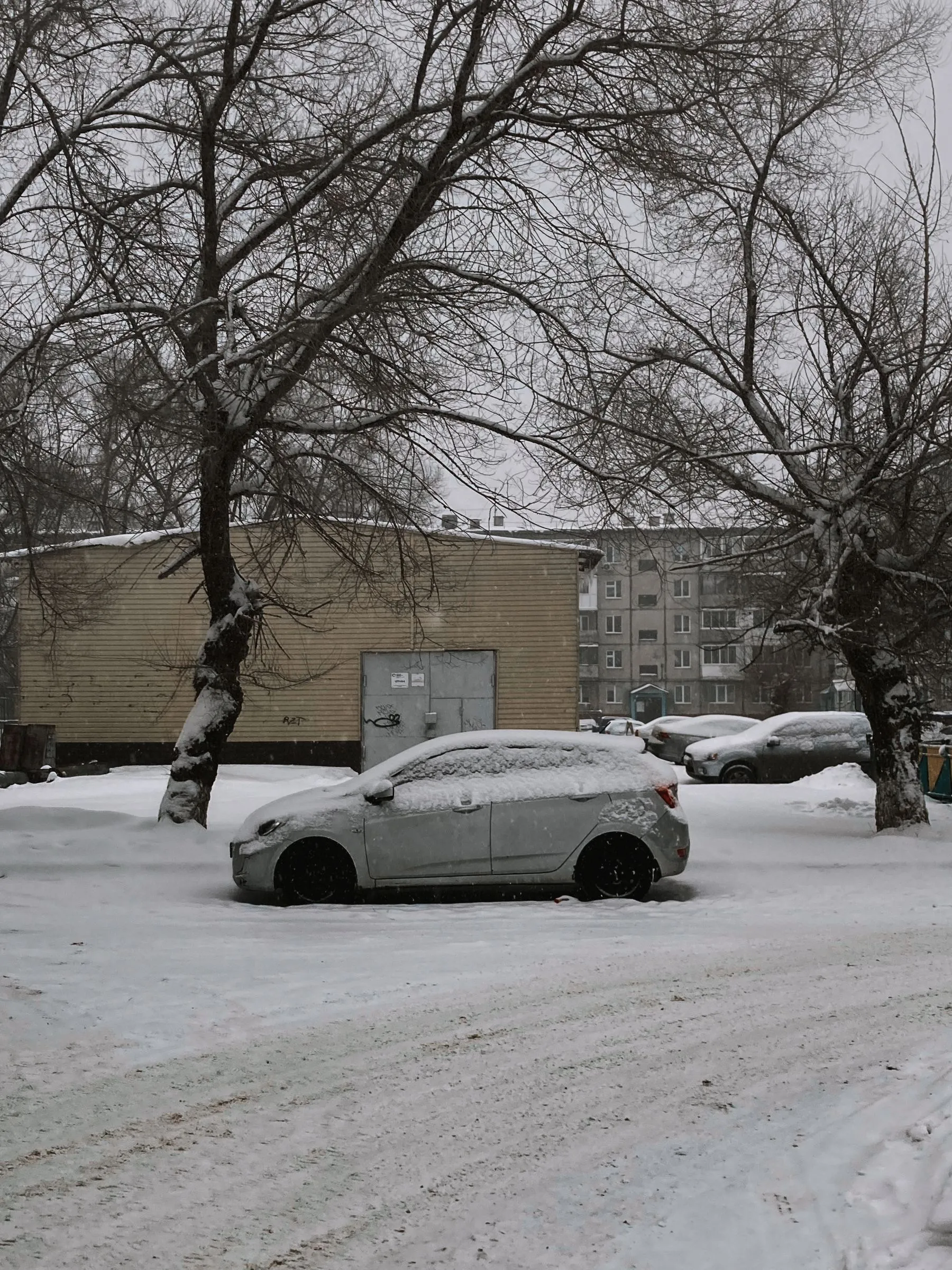 Cars parked on a snow-covered lot beside leafless trees in winter